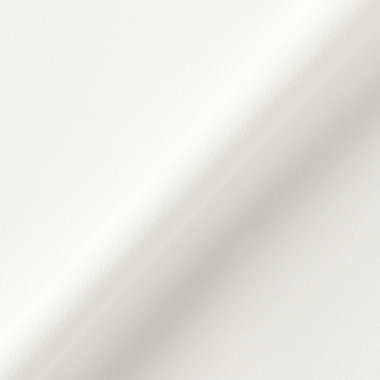 【NATURAL BEAUTY】【半袖】ネックレス風チェーンパーツ付スタンドカラーブラウス  / ホワイト / カフス袖