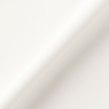 【NATURAL BEAUTY】【半袖】ネックレス風チェーンパーツ付スタンドカラーブラウス  / ホワイト / カフス袖